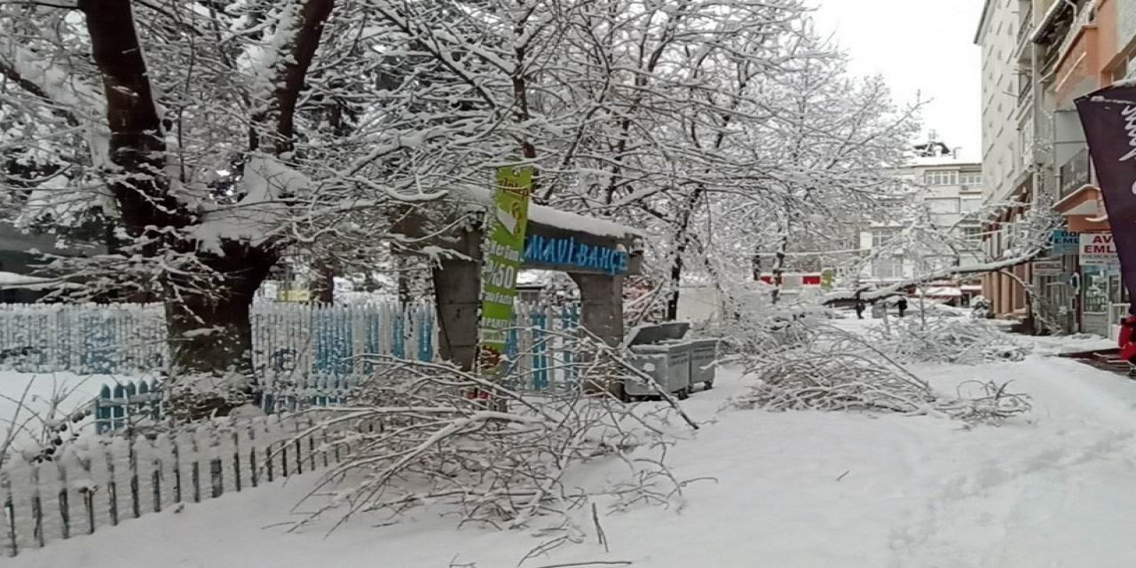 Konya'nın bu bölgesinde kar kalınlığı 32 santimetreyi buldu, ağaçlar devrildi
