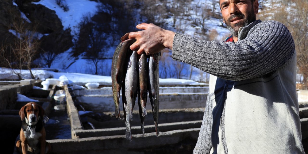 Konya'da yetiştirilen gökkuşağı alabalığını diğerlerinden ayıran özellik
