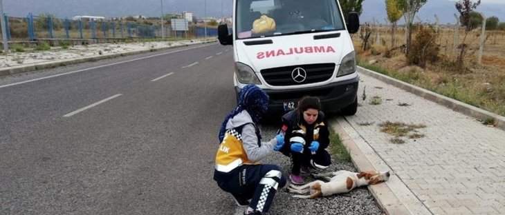 Konya'da 112 çalışanları 'Paşa' için gözyaşı döktü
