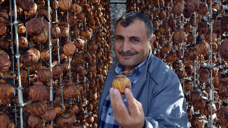 Cennet hurmasını kurutup 1 lira yerine 23 liradan satıyor