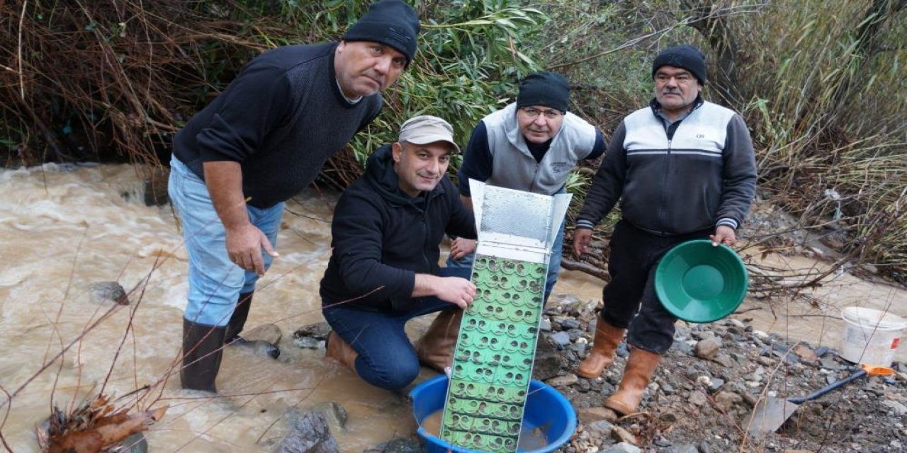 Dere yataklarında altın avı! Aylık kazançları dudak uçuklattı