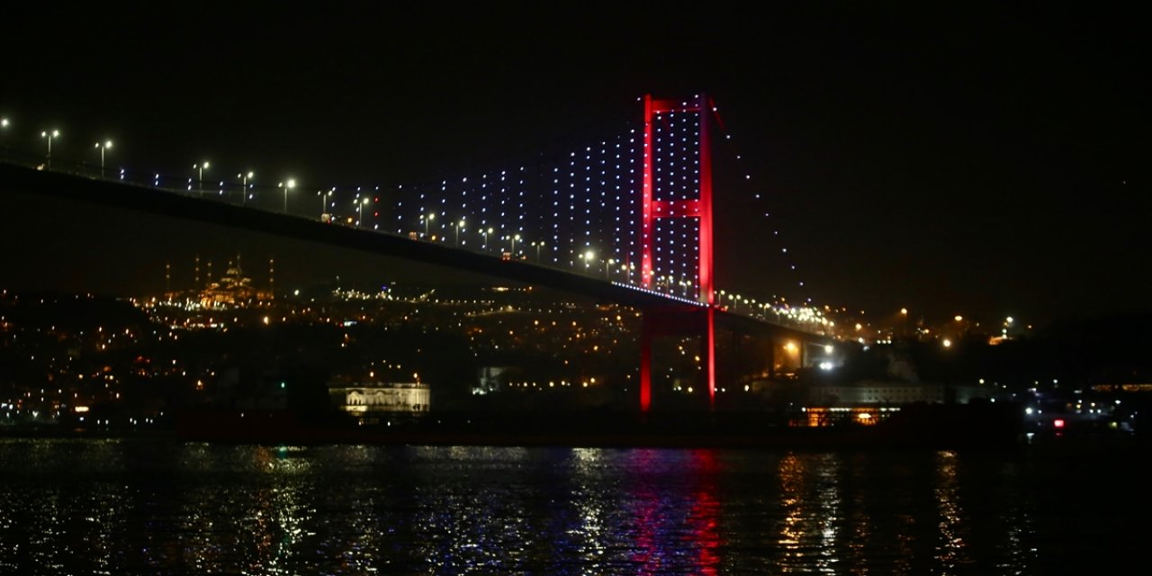 Rusya’dan gelen ayçiçeği yağı yüklü gemi İstanbul Boğazı'ndan geçti