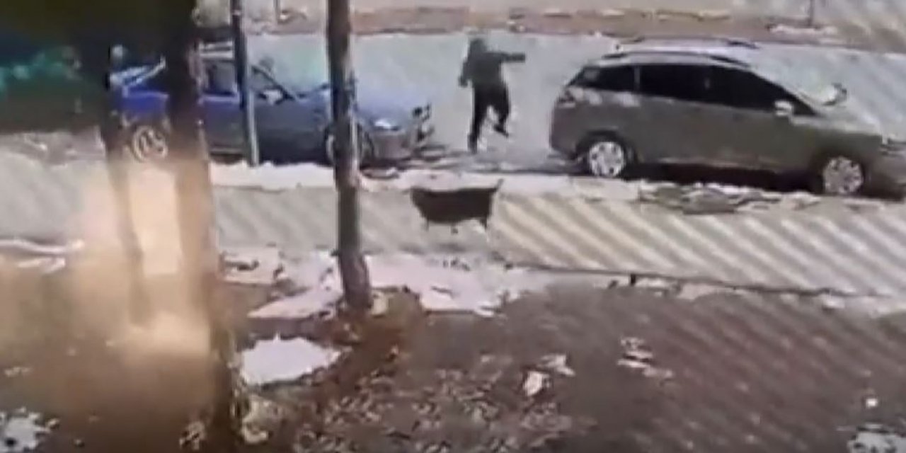 Sokak köpeğinden kaçarken yola fırlayan çocuğa otomobil çarptı
