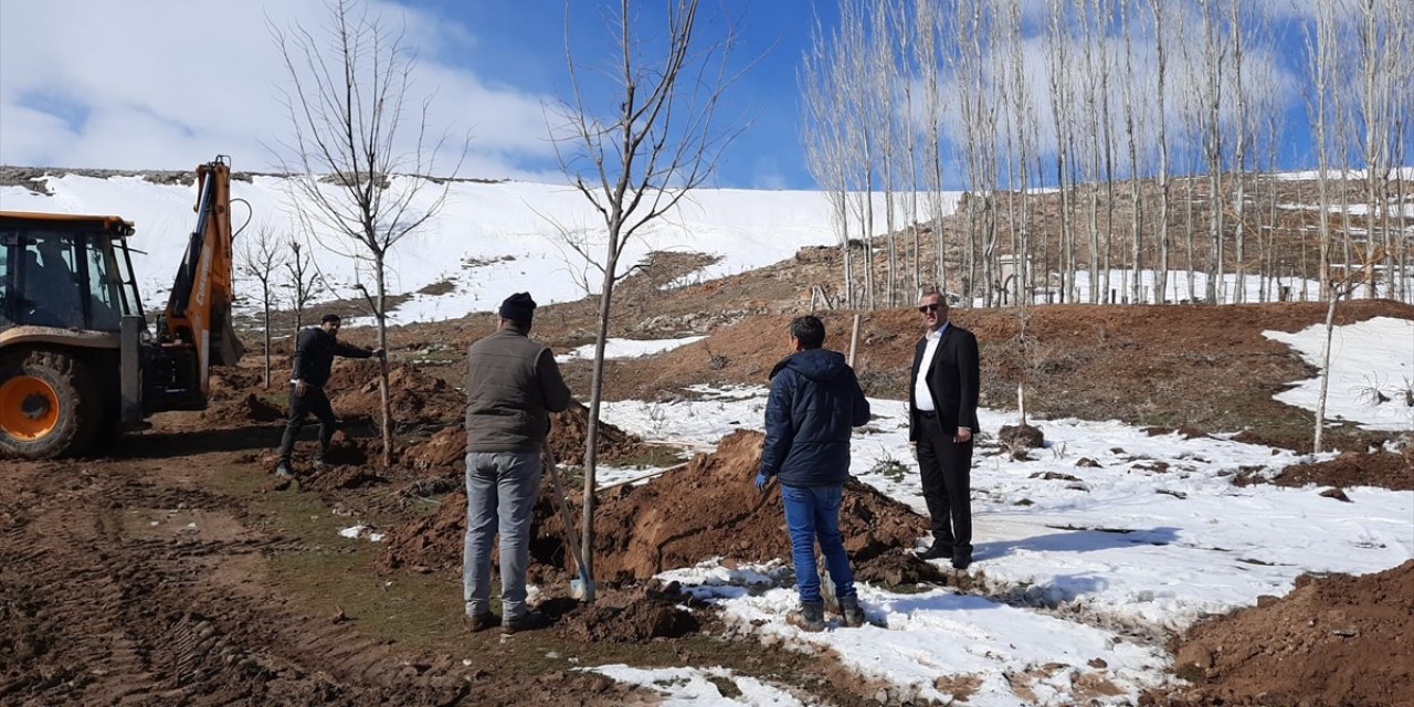 Yunak Belediyesi, 3 bin ıhlamur ağacını toprakla buluşturacak