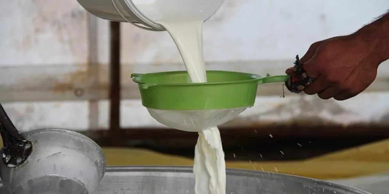 Bakanlık duyurdu! Çiğ süte büyük destek