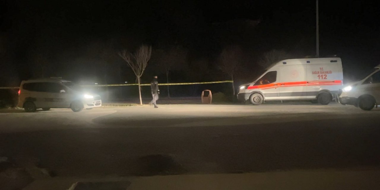 Biri iple boğulmuş, biri de ağaca asılı iki ceset bulundu