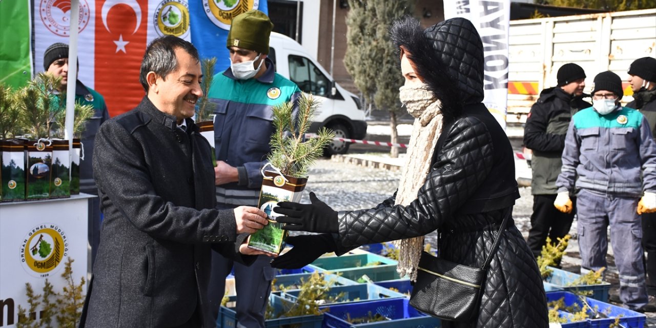 Konya’da 40 bin karaçam dağıtıldı