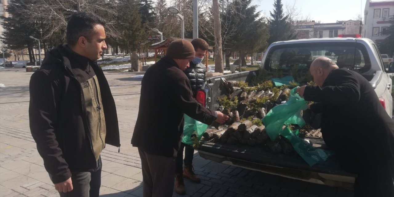 Seydişehir’de 3 bin karaçam ve sedir fidanı dağıtıldı