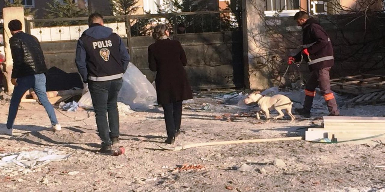 Konya'da başıboş pitbull yakalanarak barınağa götürüldü