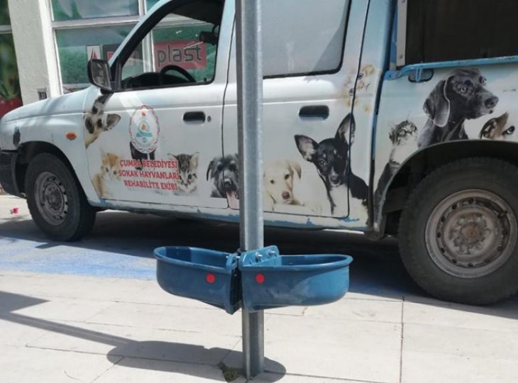 Çumra Belediyesi sokak hayvanlarına sahip çıkıyor