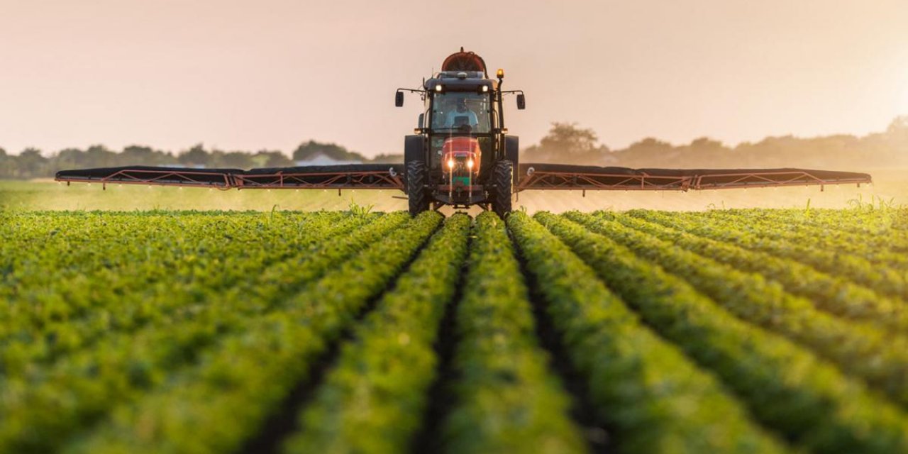 Tohumda KDV indiriminin üretimi artırması bekleniyor