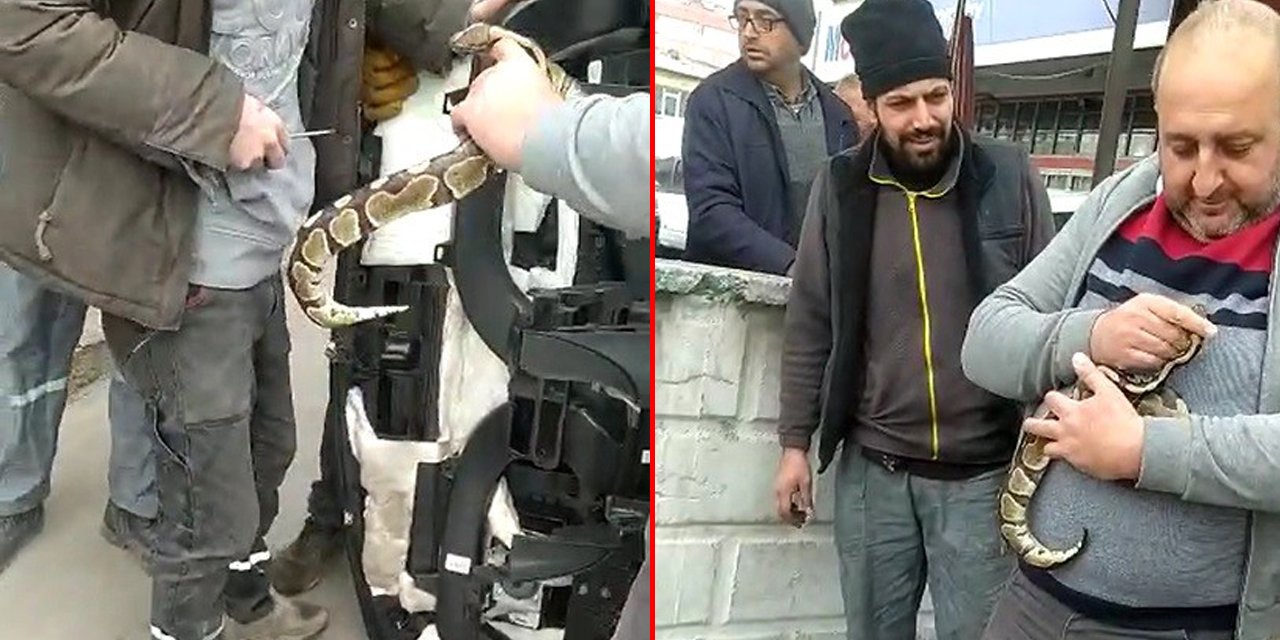 Konya’da otomobilin ön konsol kısmına kaçan yılan oto sanayide çıkartıldı