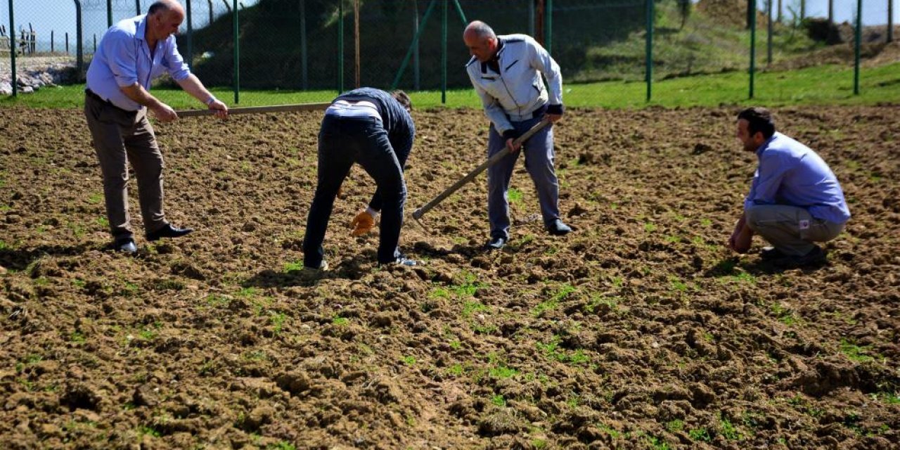 Köylülerden ilginç protesto! Futbol sahasını soğan tarlasına dönüştürdüler
