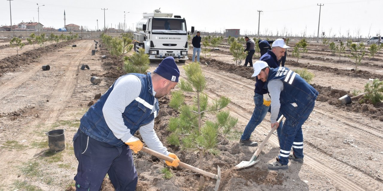 Başkan Kılca: Karatay’ı yeşil, ferah ve güzel bir görüntüye kavuşturmak için sahadayız