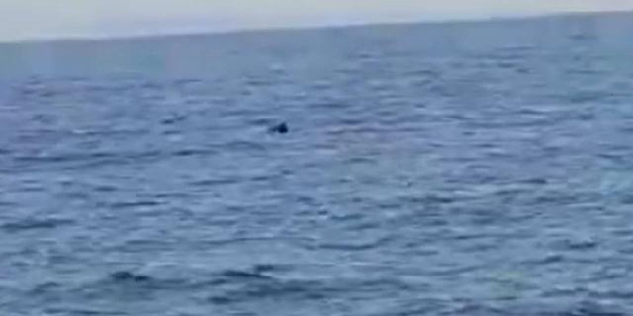 Kefken açıklarında tespit edilen mayın imha edildi