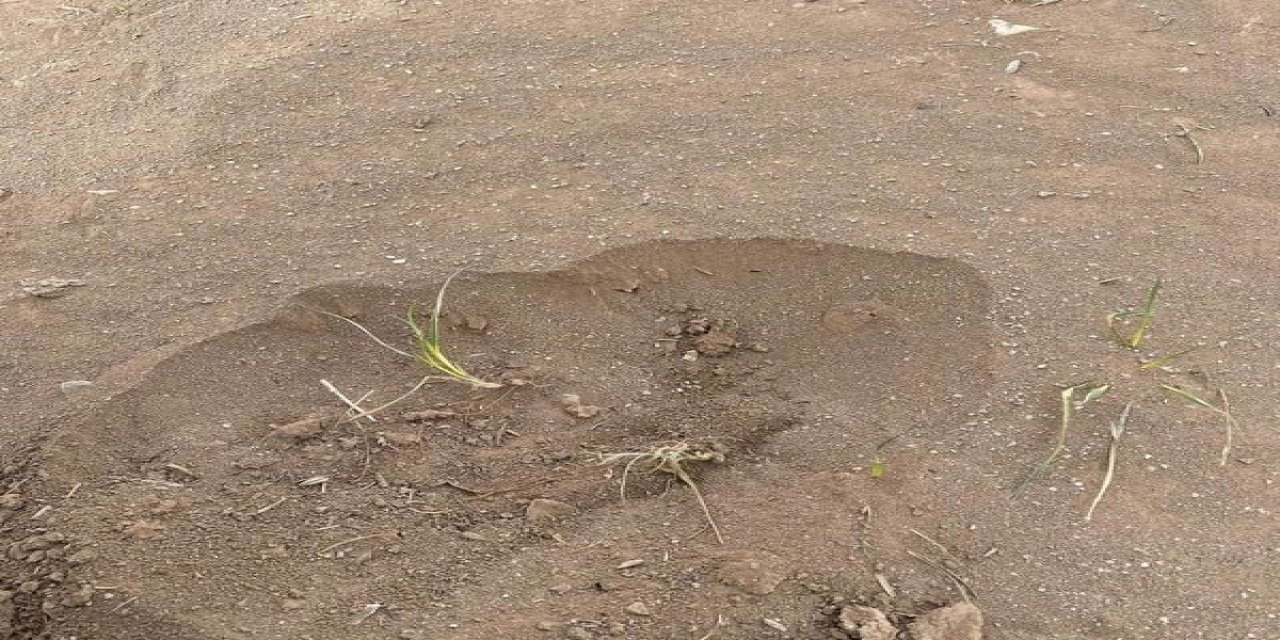 Konya’nın bir ilçesinde etkili olan kum fırtınası ekili alanlara zarar verdi
