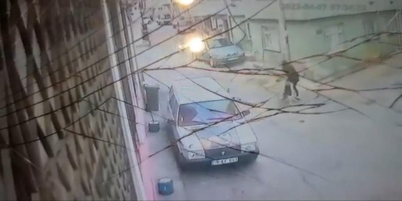 Genç kıza sokak köpeği saldırdı, o anlar kameraya yansıdı