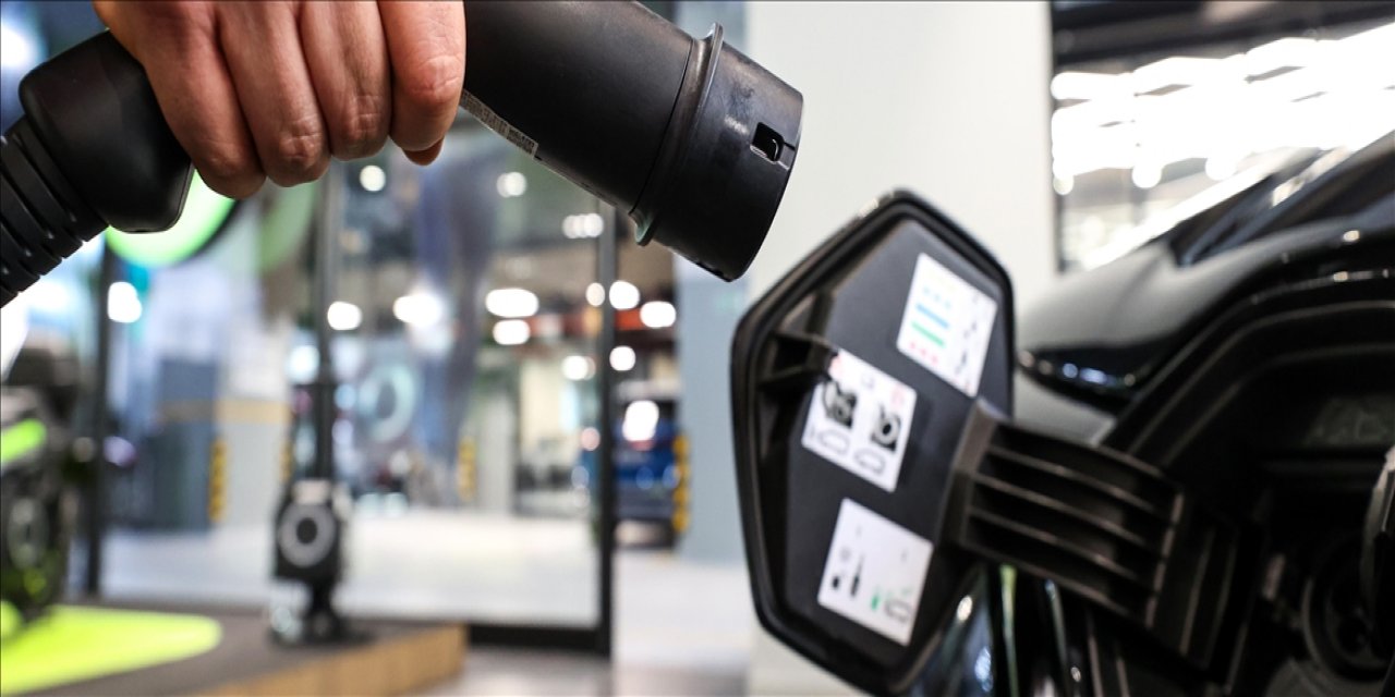 Pazar payı 10 yılda 41 kat arttı, satışlar 2021'de rekor kırdı