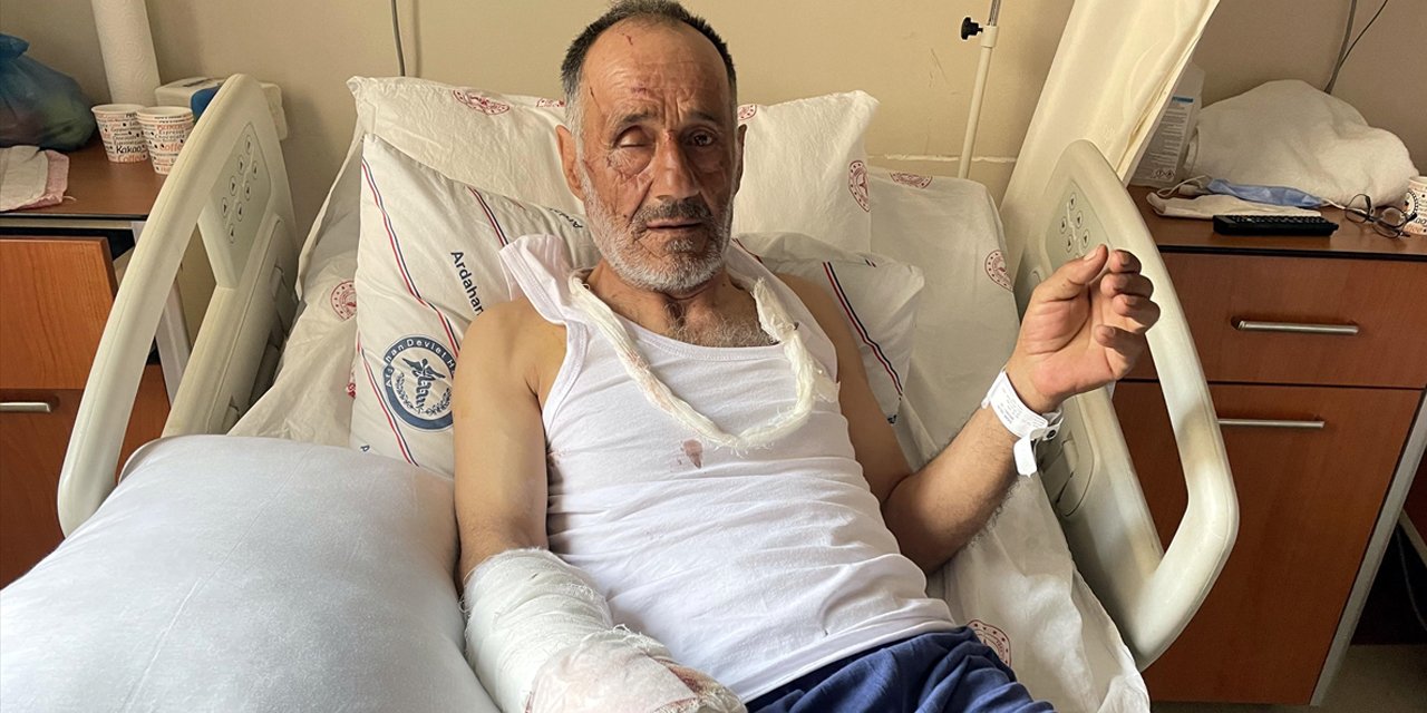 Hayvanları otlatan çobana ayı saldırdı