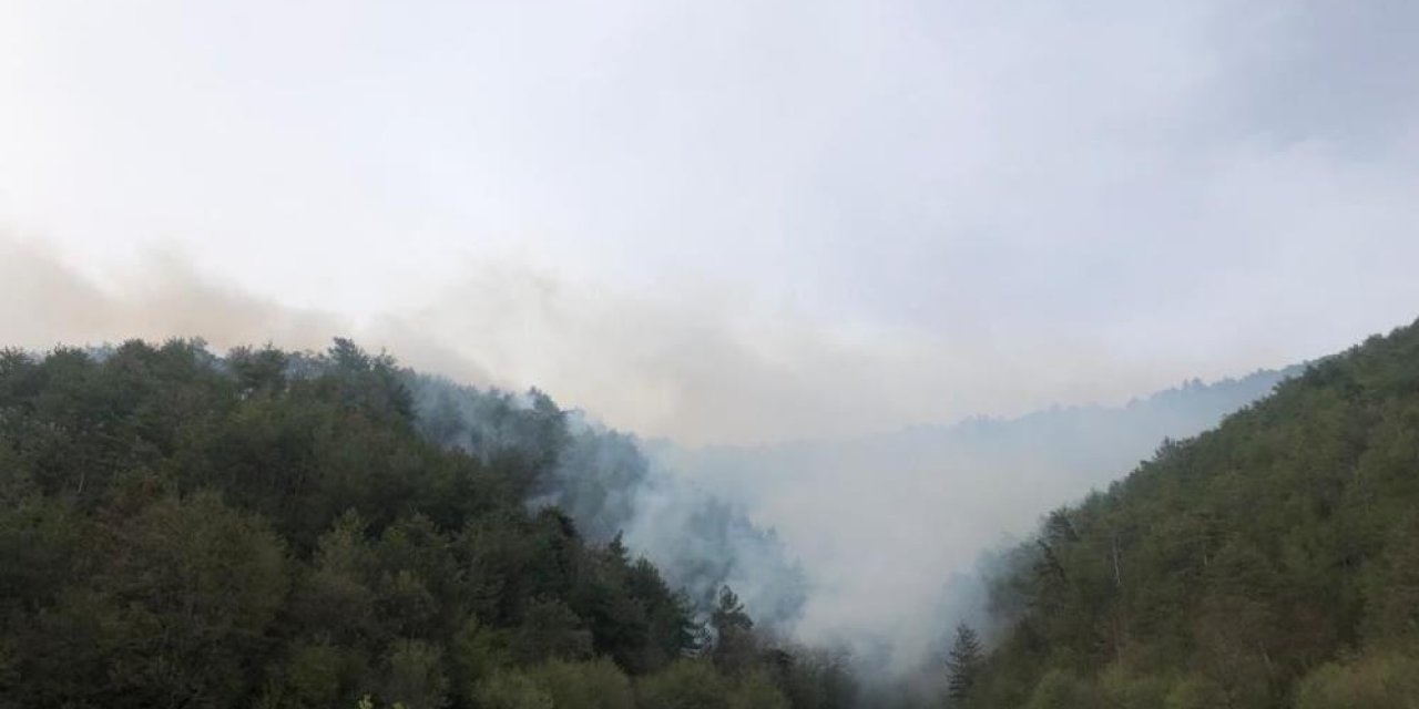 Akli dengesi yerinde olmayan bir kişi ormanlık alanı ateşe verdi