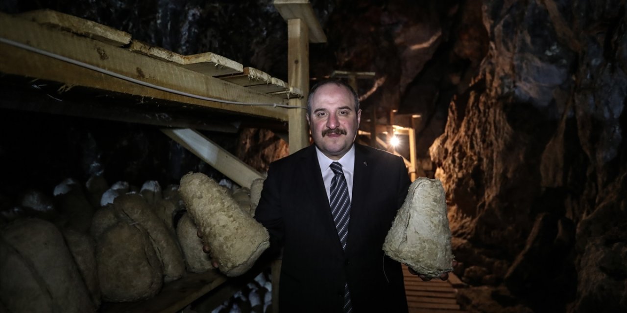 Bakan Varank, “Türk rokforu” peynirinin üretildiği mağarada incelemelerde bulundu