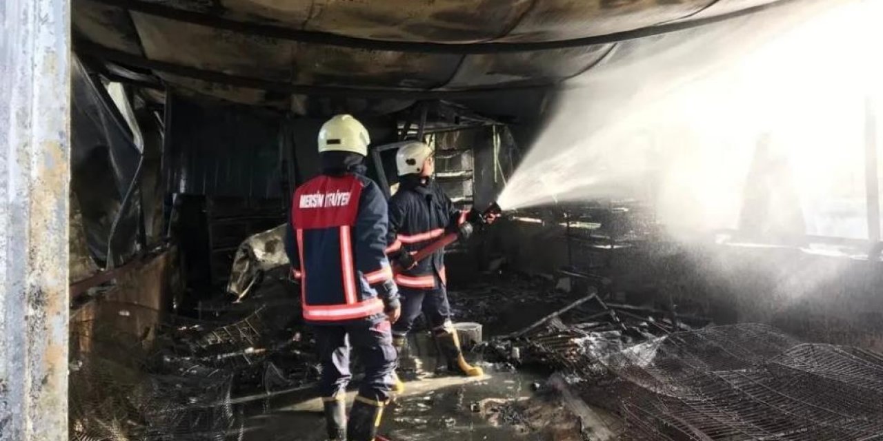 Çiftlikte yangın çıktı! Binlerce hayvan telef oldu