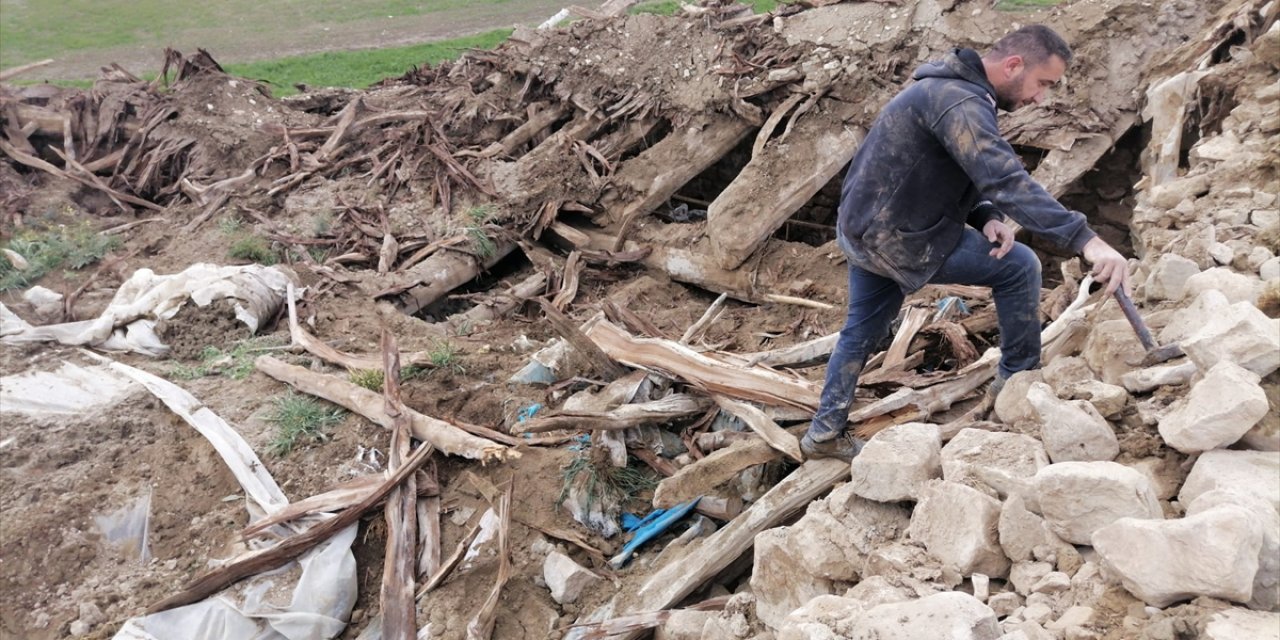 Çöken ağıldaki 12 kuzu telef oldu