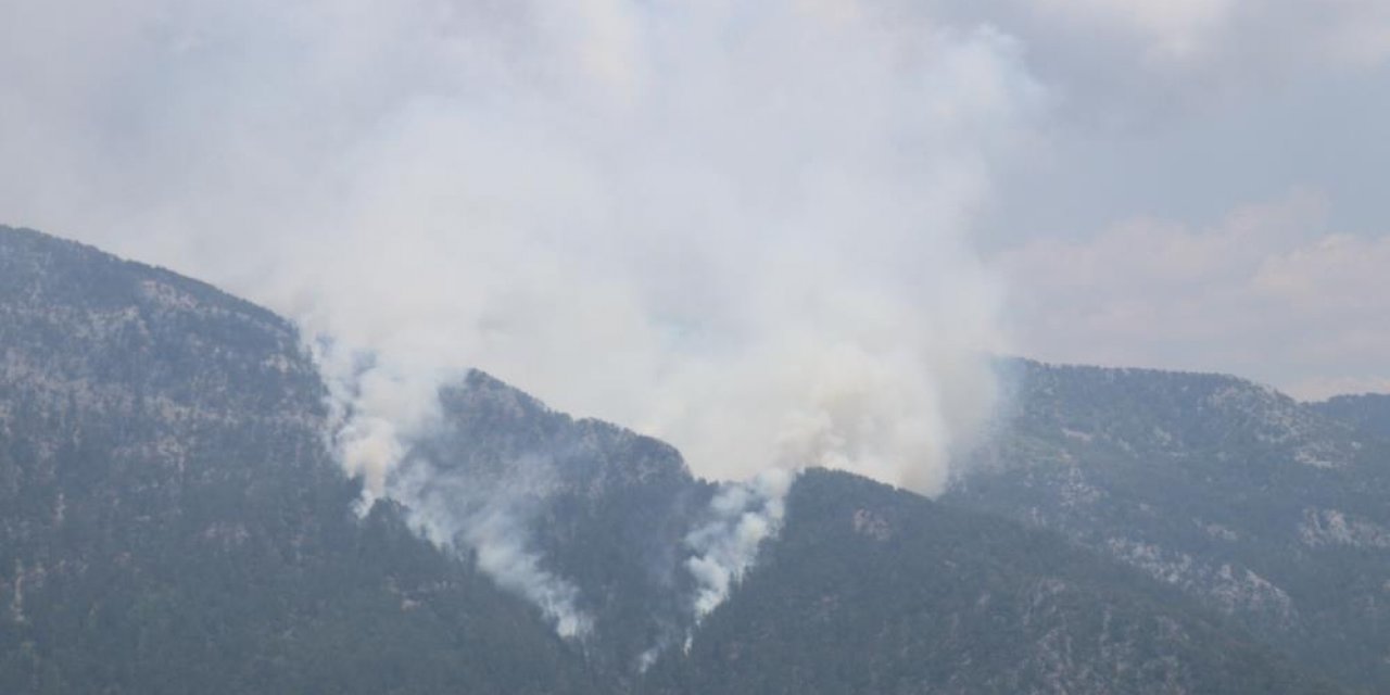 Ormanlık alanda yangın! Çok sayıda ekip sevk edildi
