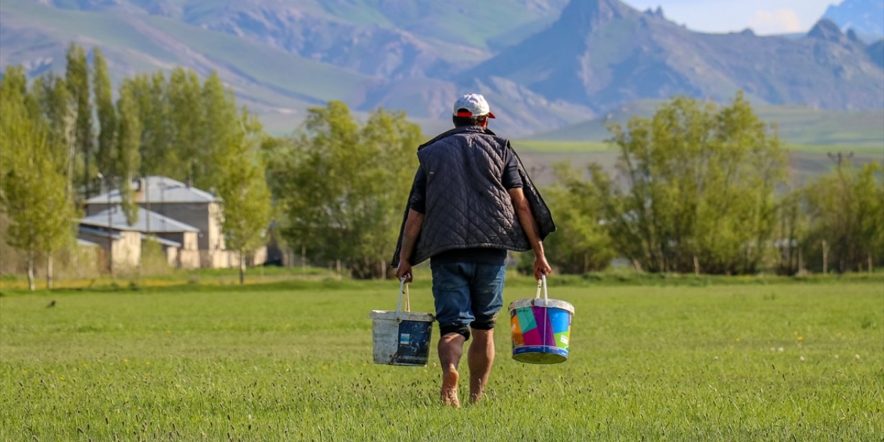 Kovalarla “inci kefali” seferberliği