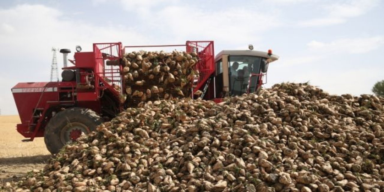 Bakan Kirişçi duyurdu! Pancar üreticilerine destek müjdesi