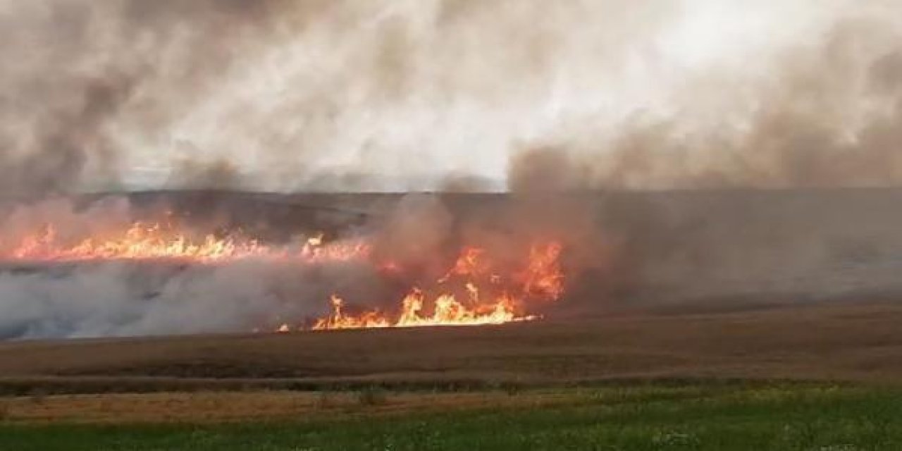Tarlada çalışırken üzerine yıldırım düşen 13 yaşındaki çocuk öldü
