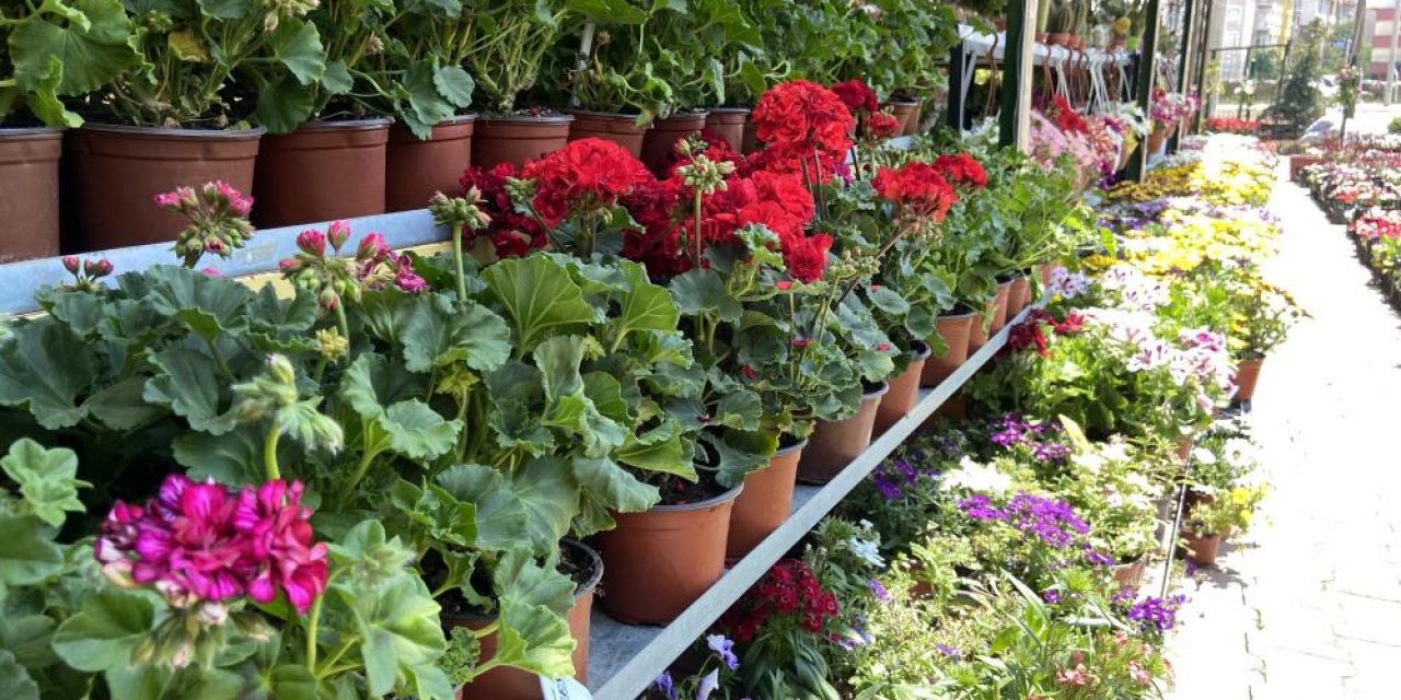Pandemi sonrasında bitkilere ilgi azaldı, Konyalı esnaflar işlerin artmasını bekliyor