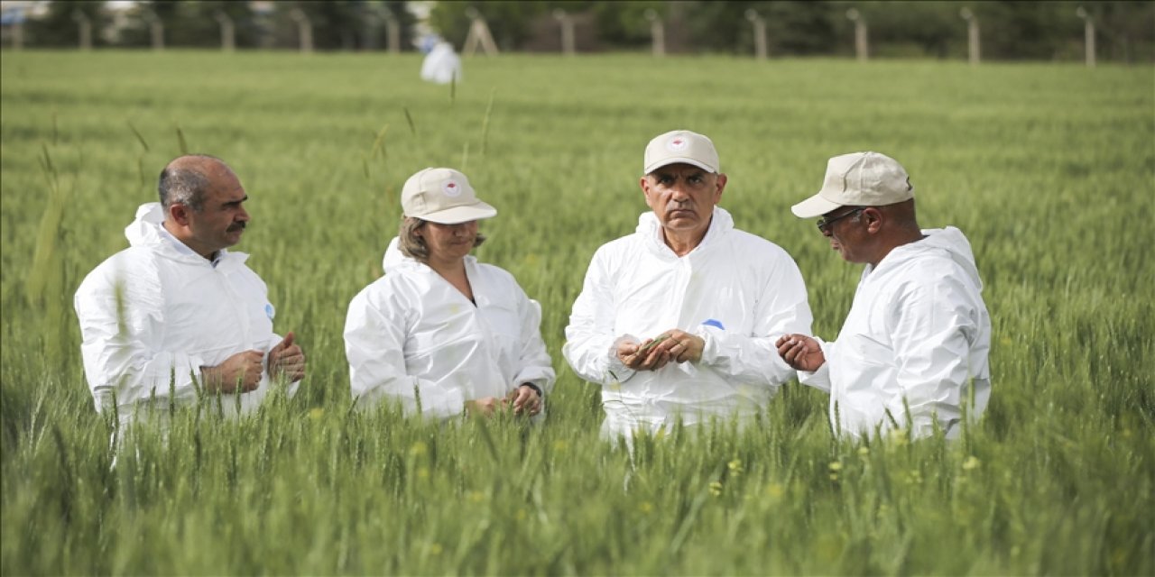 Tarım ve Orman Bakanı Kirişci: Bu sene 19,5 milyon ton beklentimiz var