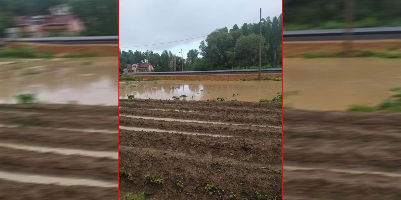 Beyşehir’de yağışlar çiftçinin yüzünü güldürdü