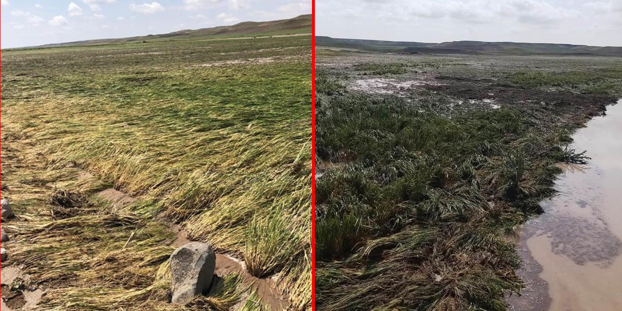 Konya’da 3 bin dekarlık ekili arazi dolu ve yağmur nedeniyle zarar gördü
