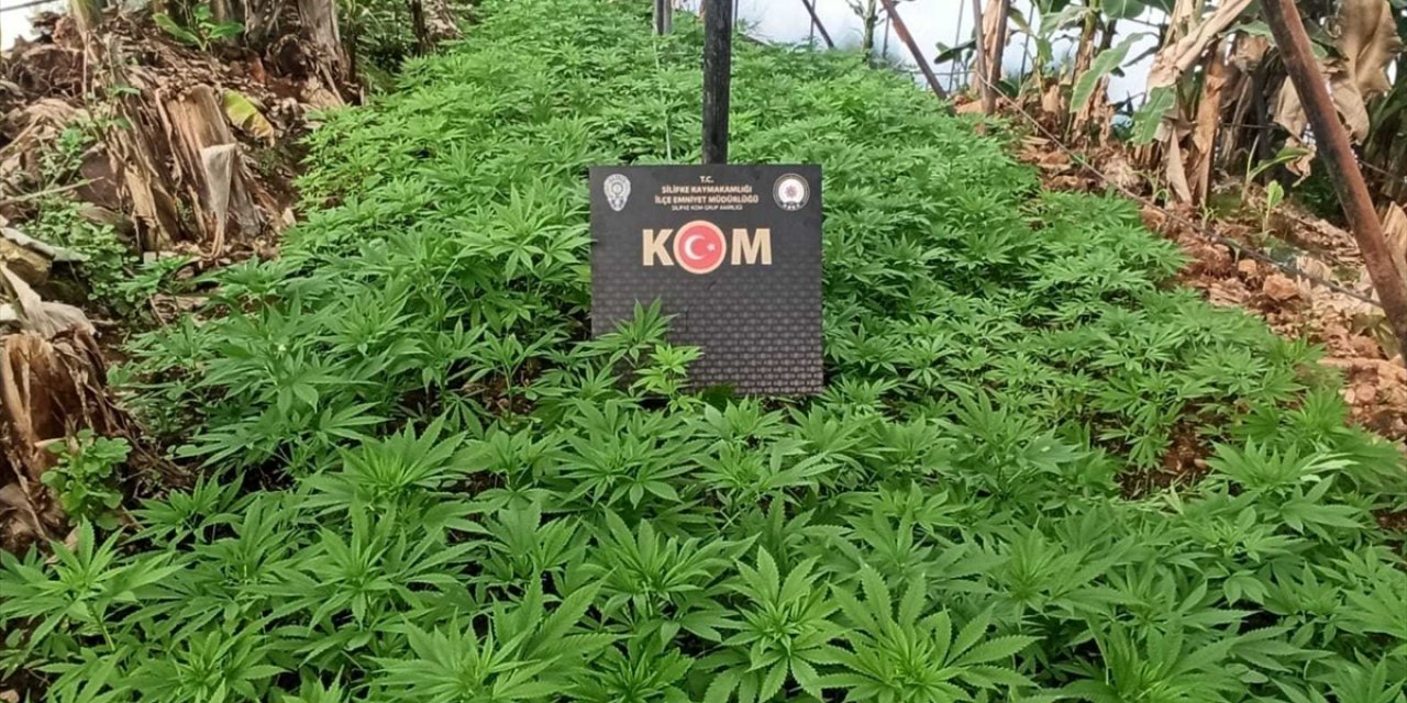 Muz serasını uyuşturucu imalathanesine çevirmişler!