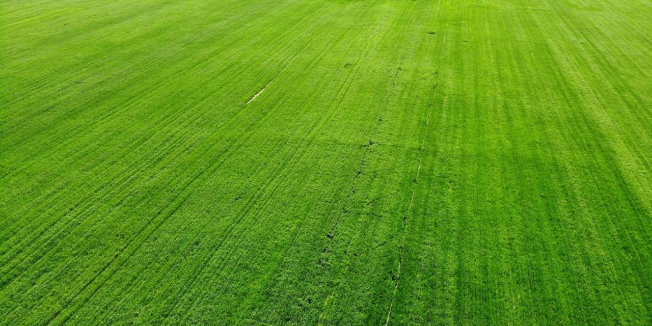 Konya’daki yağışlar rekolteyi attırdı mı? Dolu ekili alanlara zarar verdi mi?