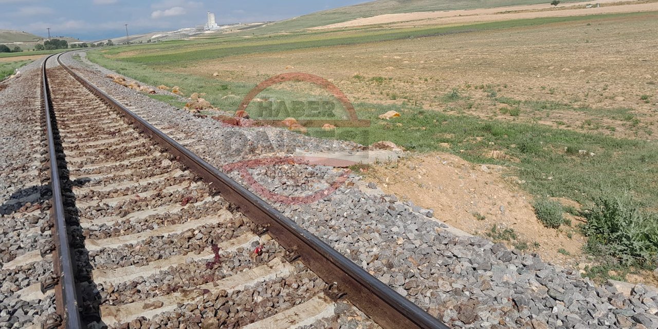 Son dakika: Konya’da tren sürüye daldı, 130 hayvan telef oldu