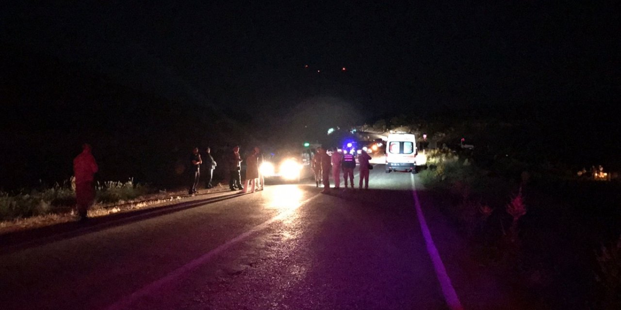 Hafif ticari aracın çarptığı çoban öldü