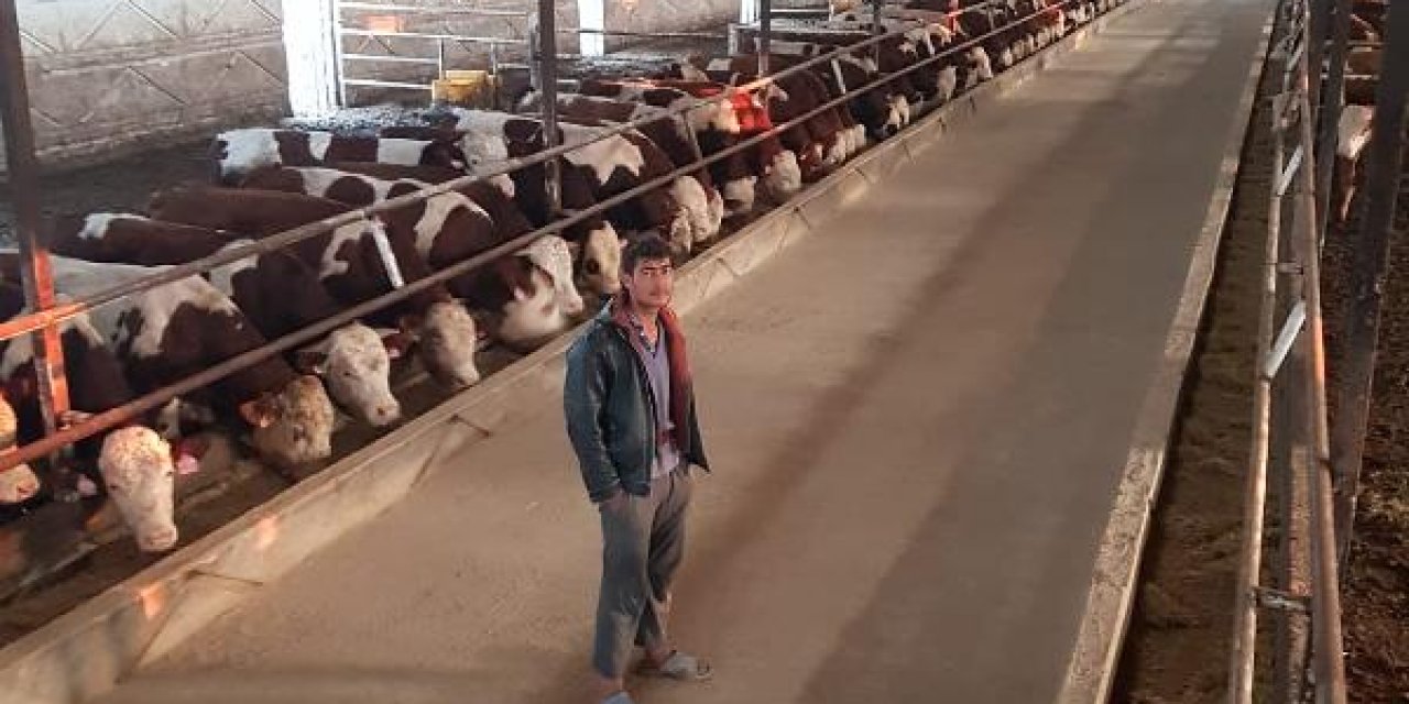 Afgan çoban, mandıradan çaldığı 41 hayvanı kestirip 2 milyon TL kazanmış