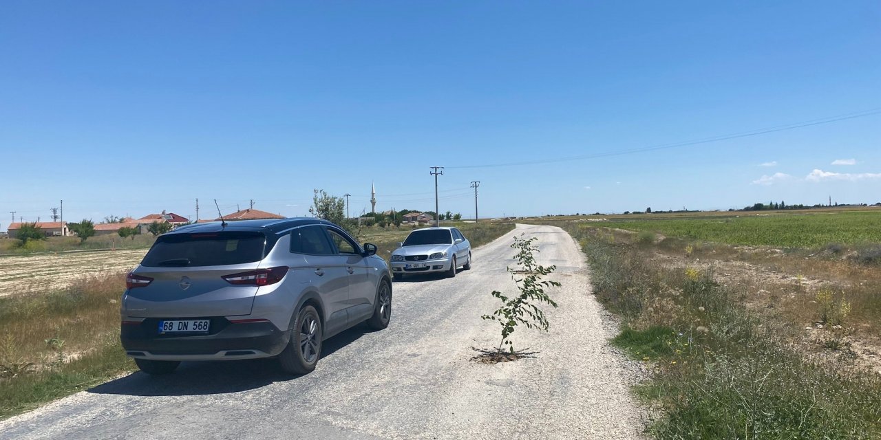 Vatandaşın bozuk yol protestosu! Çukurlara ağaç diktiler