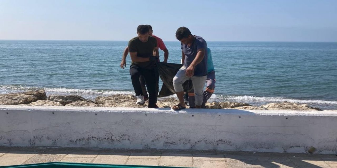 Denize giren emekli öğretmen boğularak can verdi