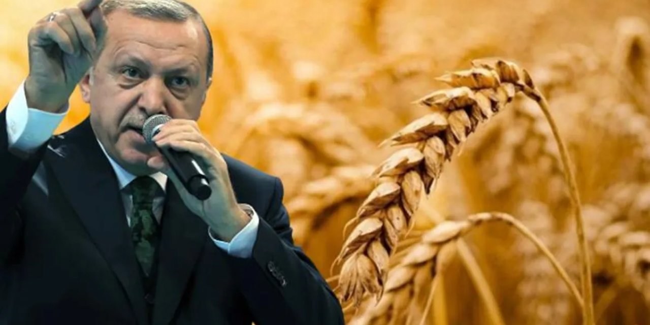 Dünyayı tedirgin eden gıda krizi! Çözüm için Türkiye’de 4'lü zirve yapılacak