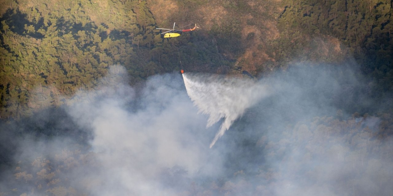 Bodrum’da orman yangını çıktı