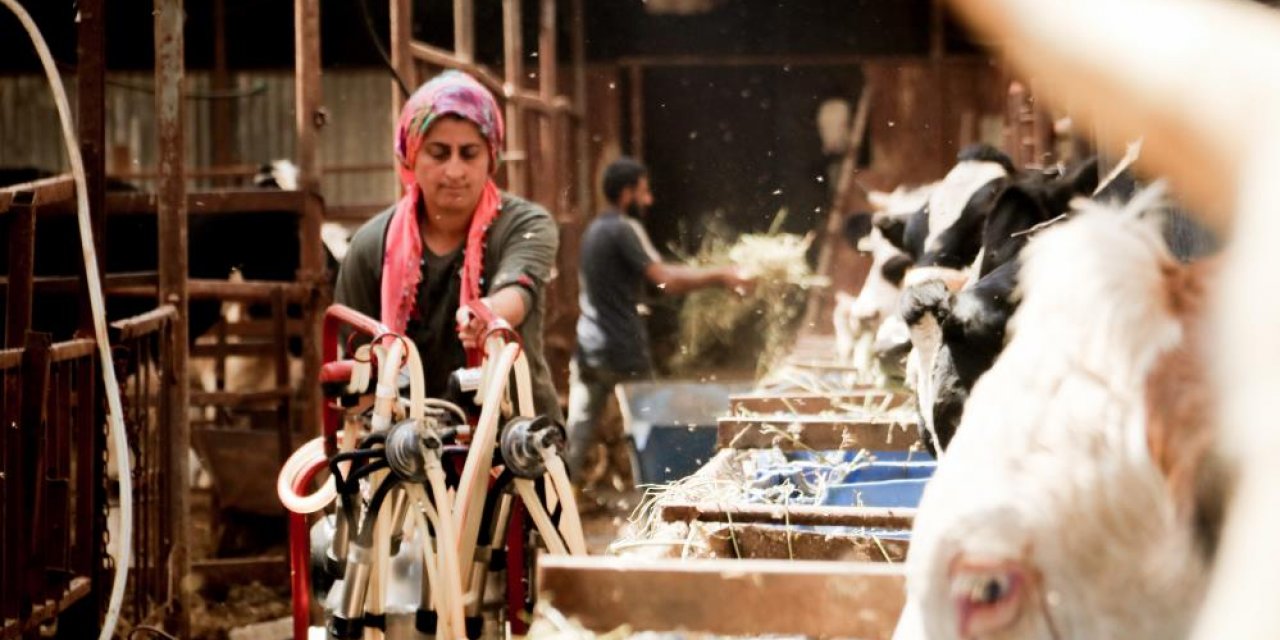 4 bileziğini satıp işe başladı, şimdi milyonluk servetin sahibi