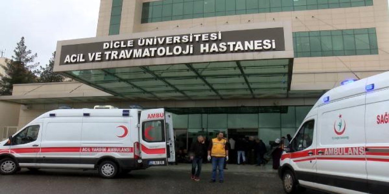 Sağanak yağışta ağacın altına sığınan 6 çobanın üzerine yıldırım düştü!