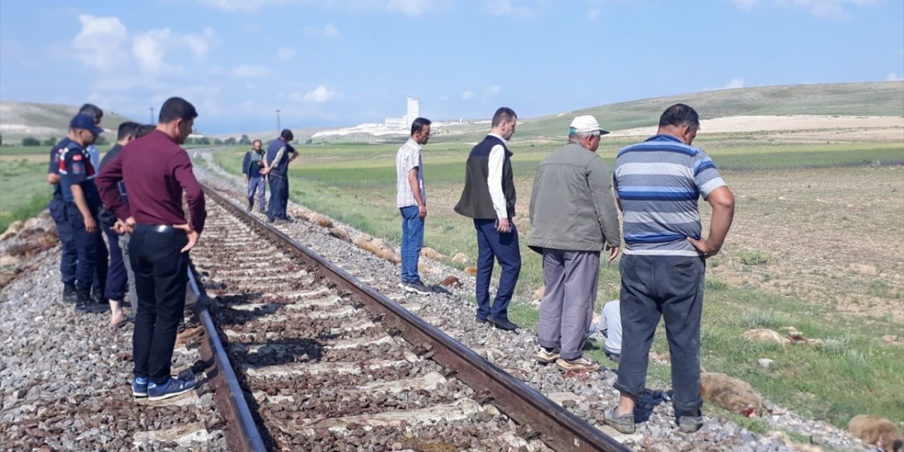 Konya'da trenin çarptığı 141 hayvan ölmüştü! O aileler için seferber olundu