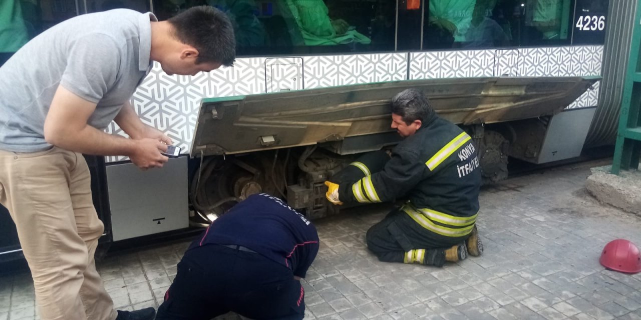 Yavru bir kedi Konya’da tramvay seferlerini aksattı, ekipler seferber oldu