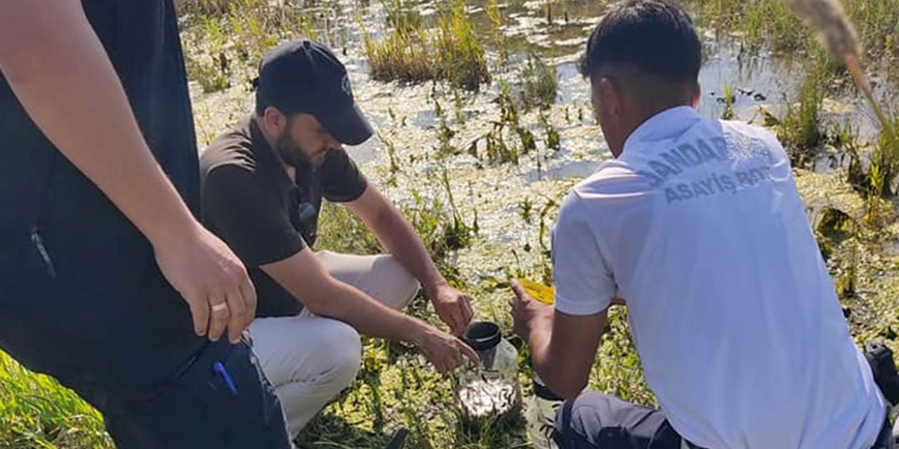 Beyşehir Gölü’nde yasa dışı sülük avı