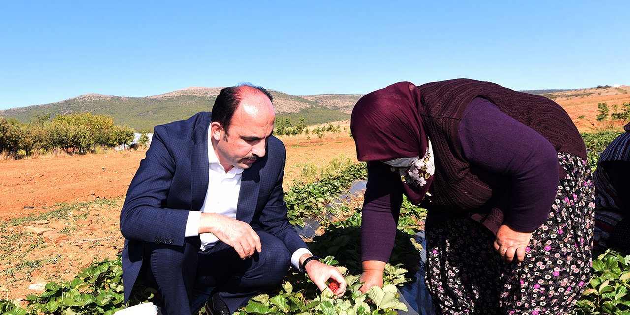 Konya Büyükşehir çiftçi destek başvurusu 2022 I TIKLA, BAŞVUR